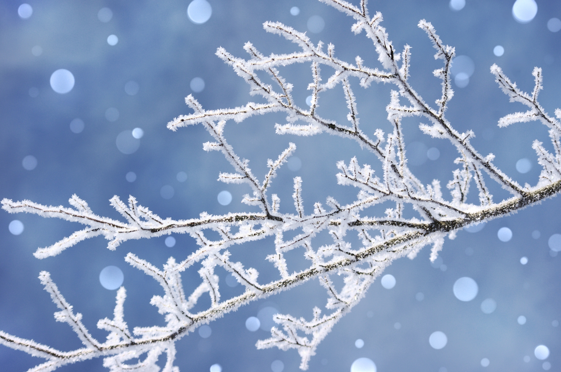 寒中見舞い印刷情報入力フォーム